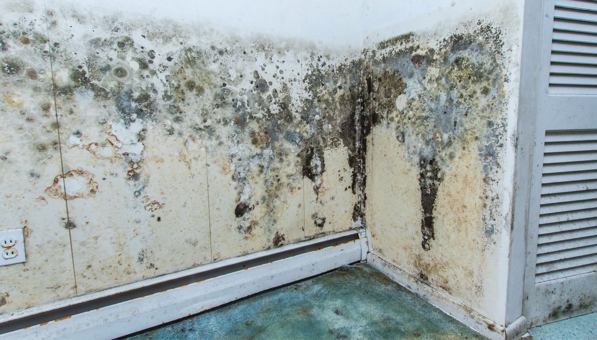Professional mold removal, odor control, and water damage restoration service in Dublin, Ohio.